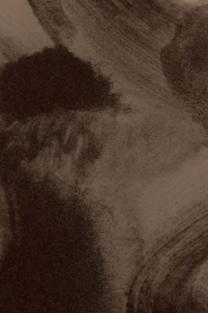 Driftwood Luxe Escape