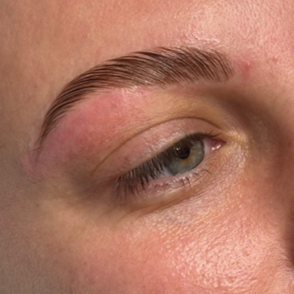 Brow Lamination at The Beauty Space in Saint Petersburg, FL