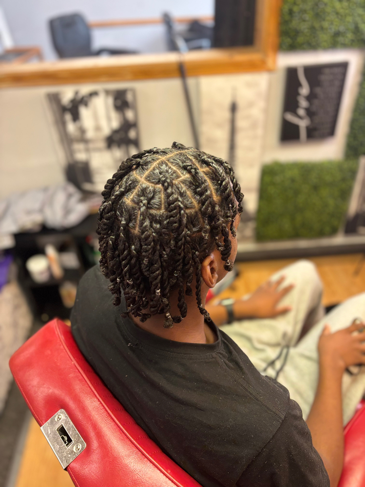 Two Strand Twists