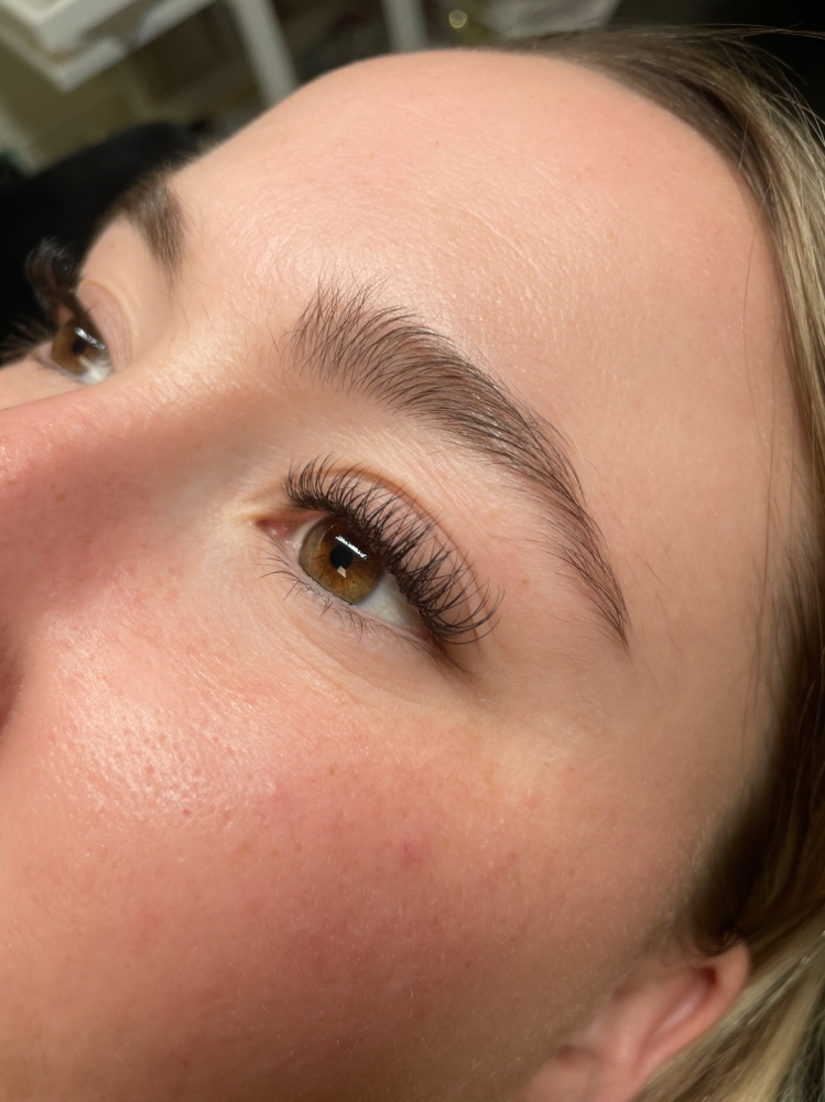 Eyelash Extension Standard Fill