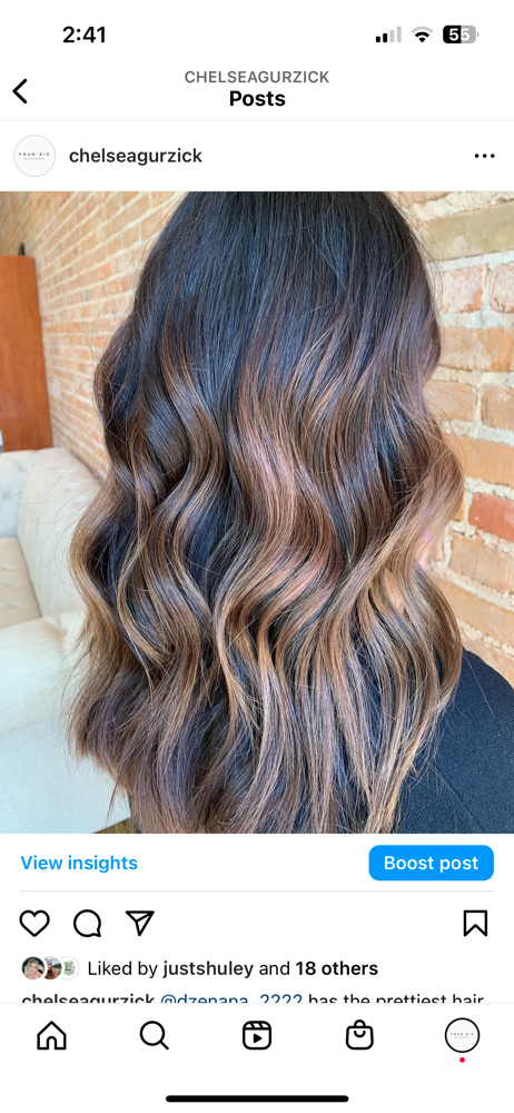 Balayage + Gloss/Toner