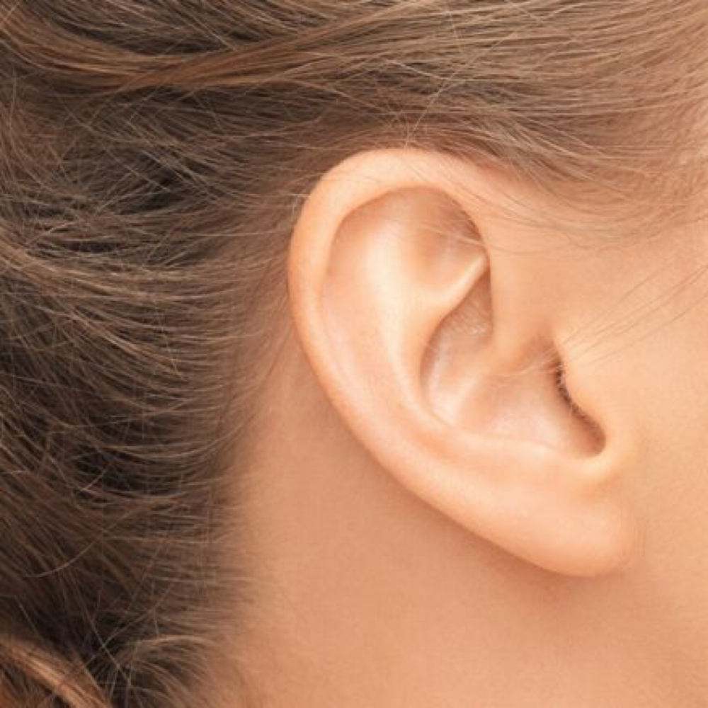 Ears at Bare by Lanna in North Reading, MA