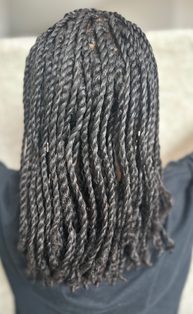 Two Strand Twist