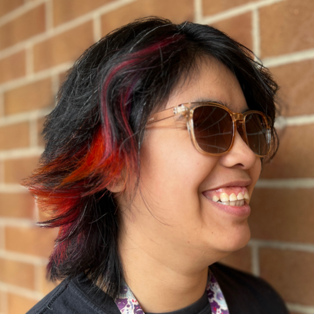 Partial Highlighting at Starling Hair Studio in Schaumburg, IL