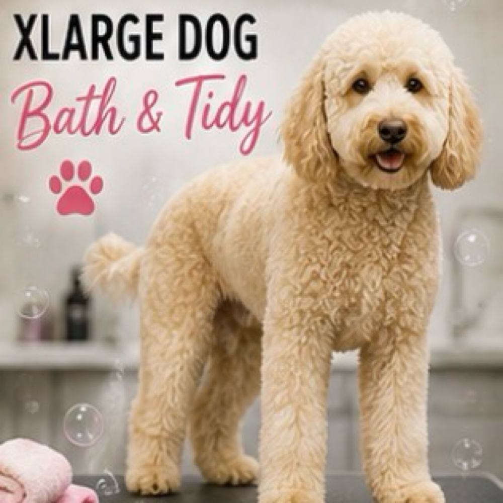 XL Dog Bath & Tidy at Pampered Pups By Helen in Chino Hills, CA