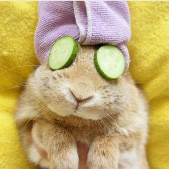 Bunny Glow Facial at Heaven Sent Beauty Lounge in Kettering, OH