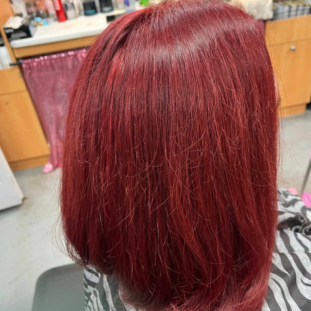 All Over One Color at Bombshells Salon LLC in Elkhart, IN