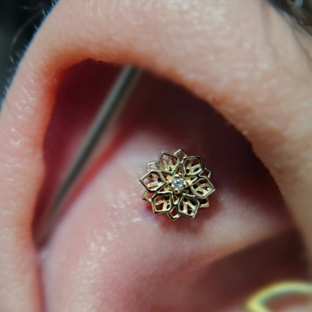 Flat Piercing at Chrissy Von in Pelham, NH