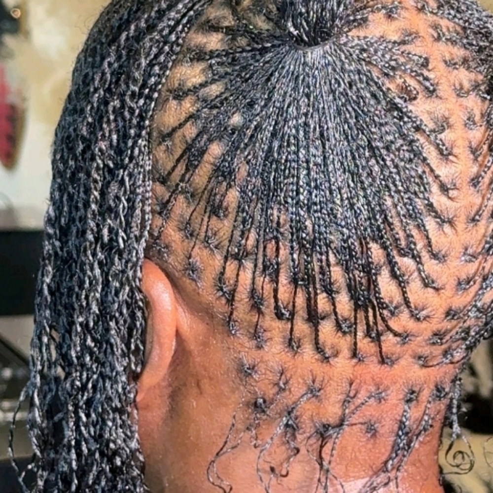 Micro Twists/Natural Hair