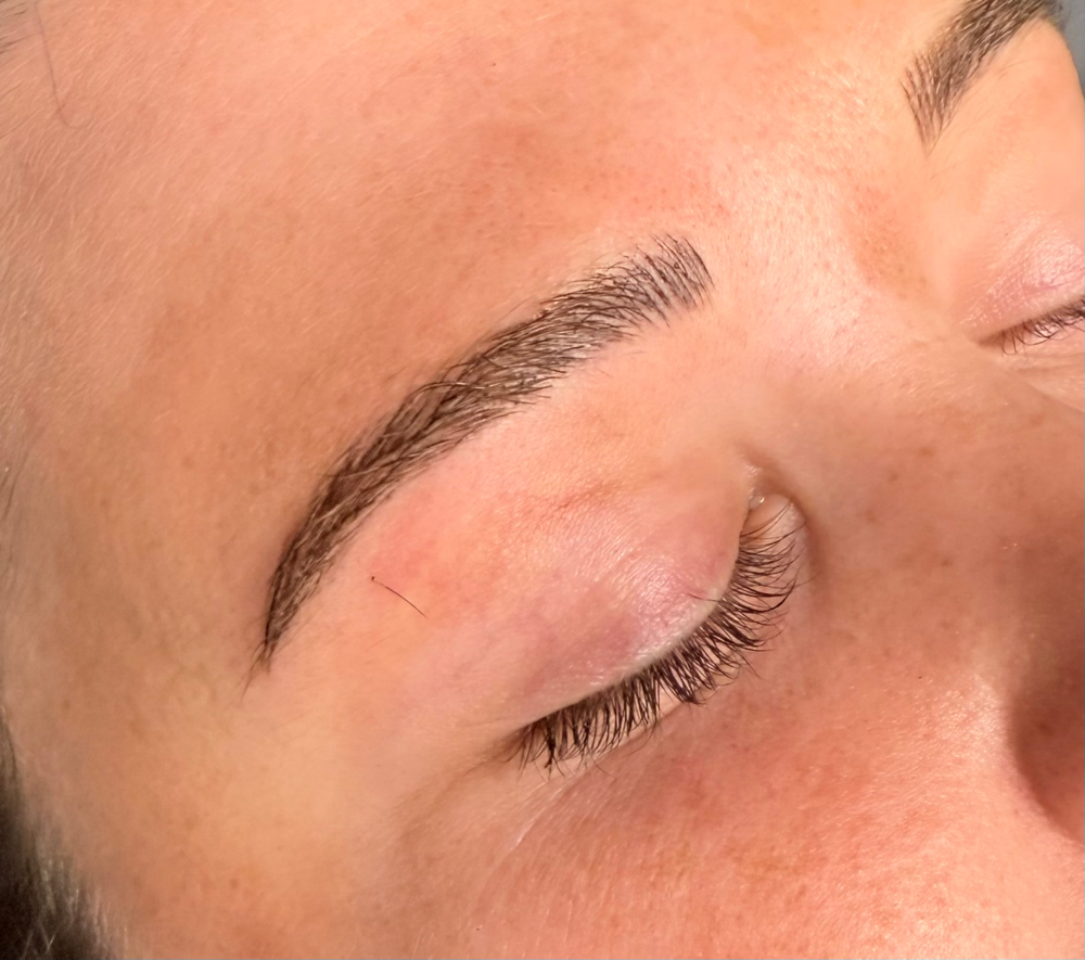 Microblading- (2-12 Month Touch Up)