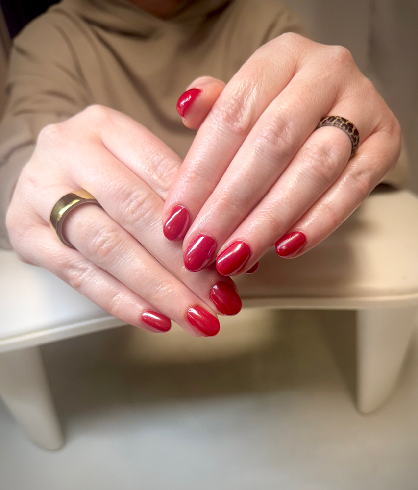 Builder Gel Set Solid Color at JP Nail Designs in ky, KY