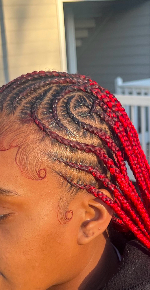 Tribal Braids /Twist
