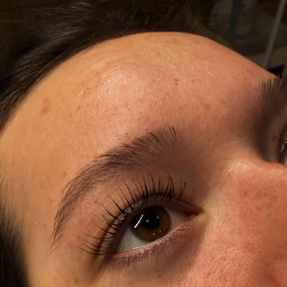 Lash Lift + Tint at Halo Aesthetics in PLYMOUTH, WI