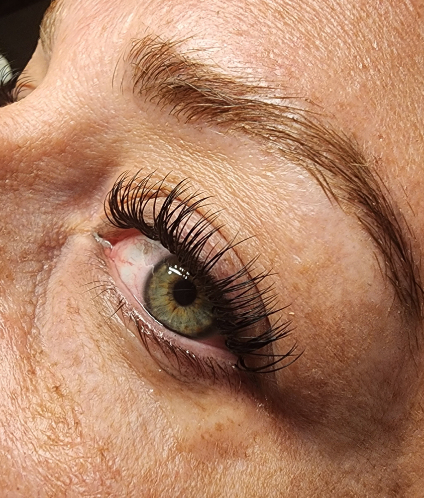Classic Lashes