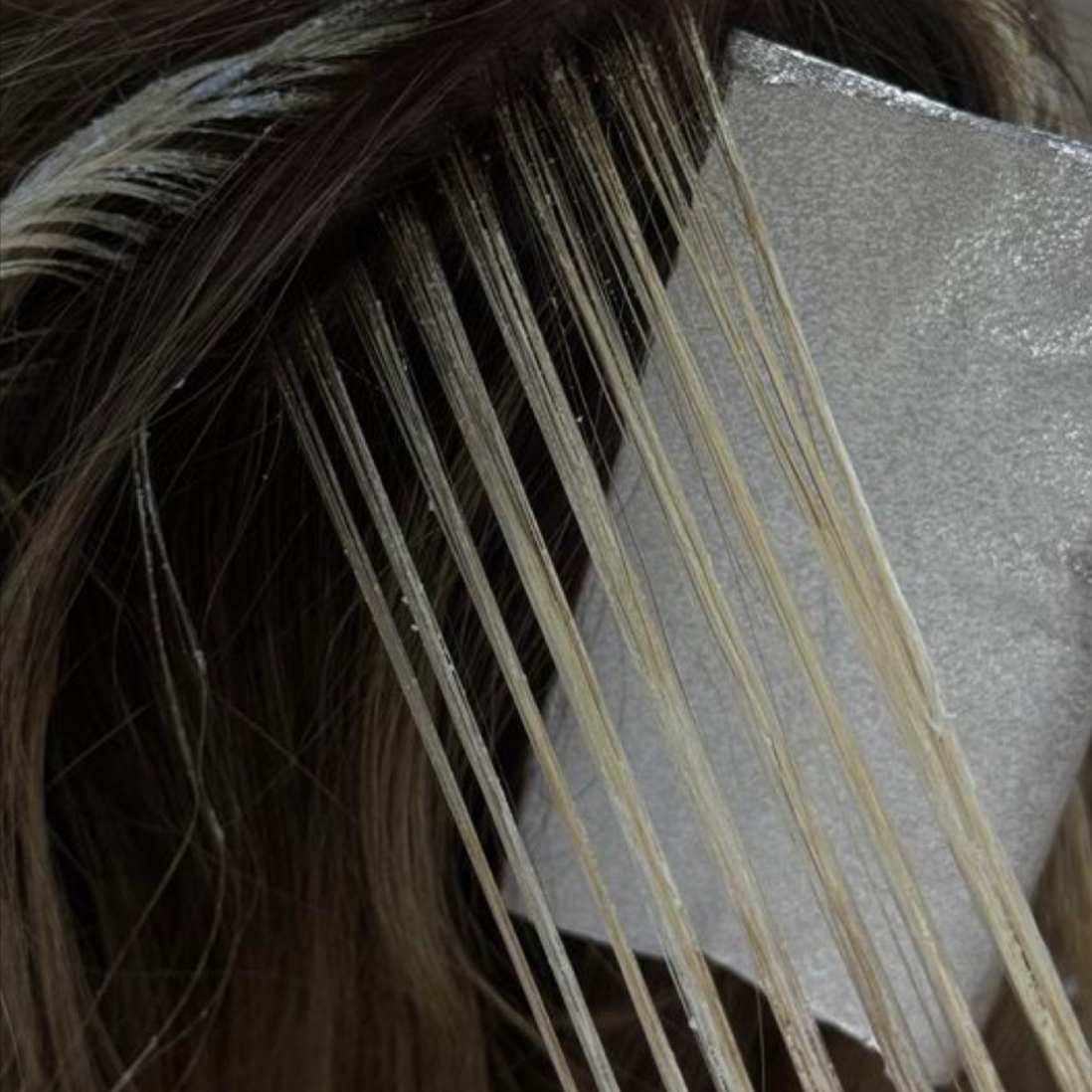 Full Foil at The Grove Salon Co. in Rocklin, CA