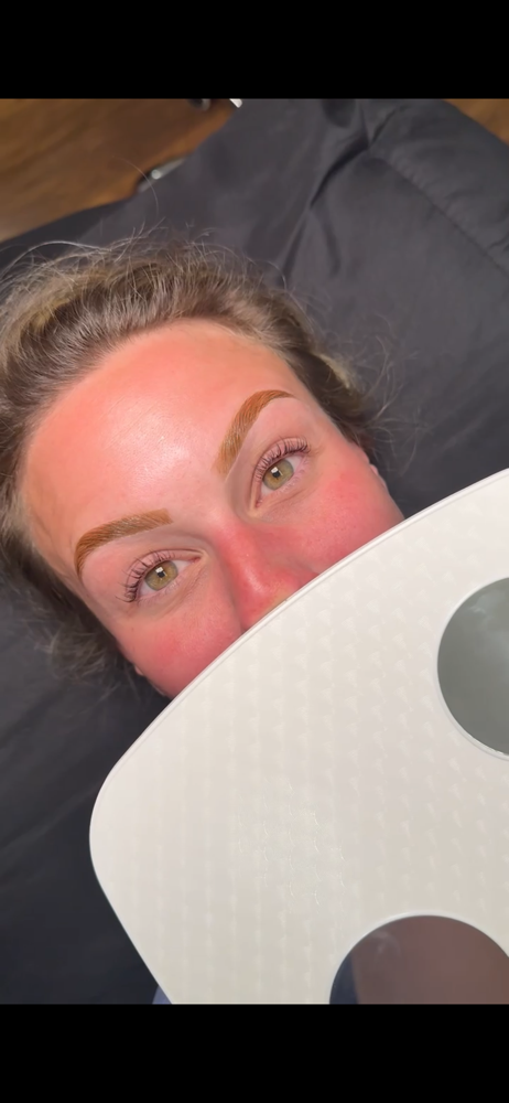 Enlightened Brow Bundle