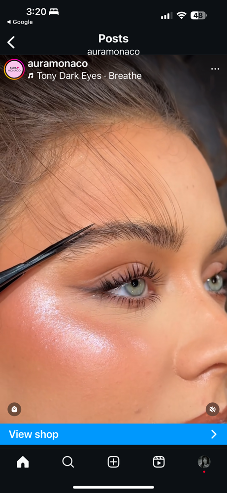 Eyebrow Extensions