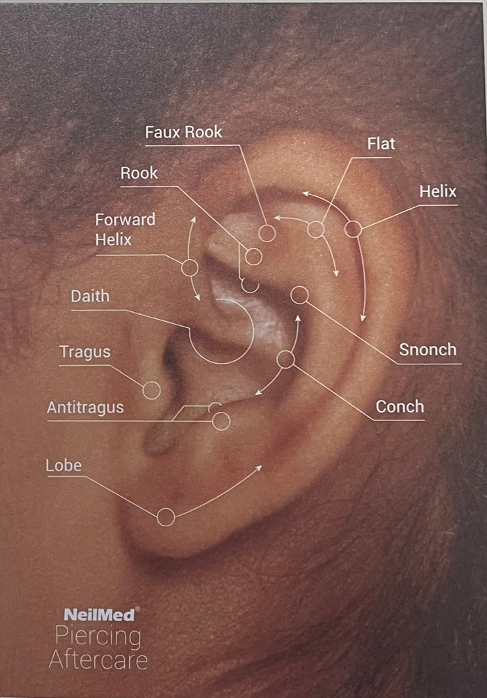 Lobe Piercings