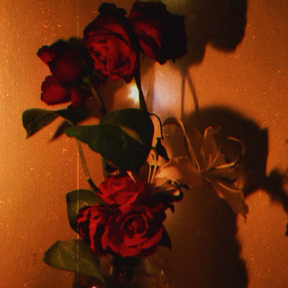 Underarm Waxing at Luminous Rose Waxing in Hurst, TX