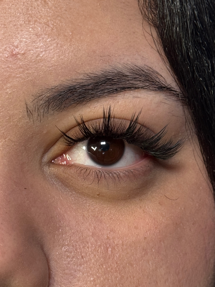 Mega Volume Lash Extensions
