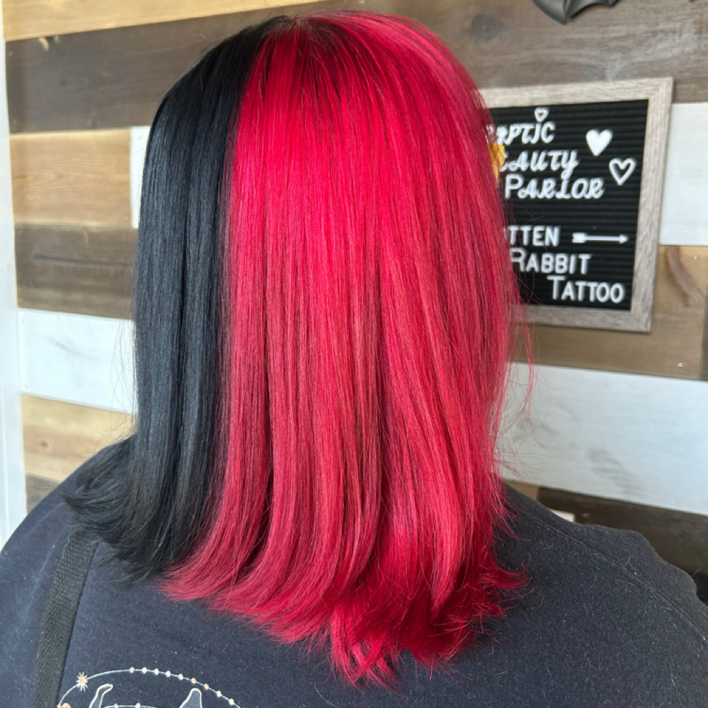 Split Dye Refresh at Cryptic Beauty Parlor LLC in Thomasville, NC