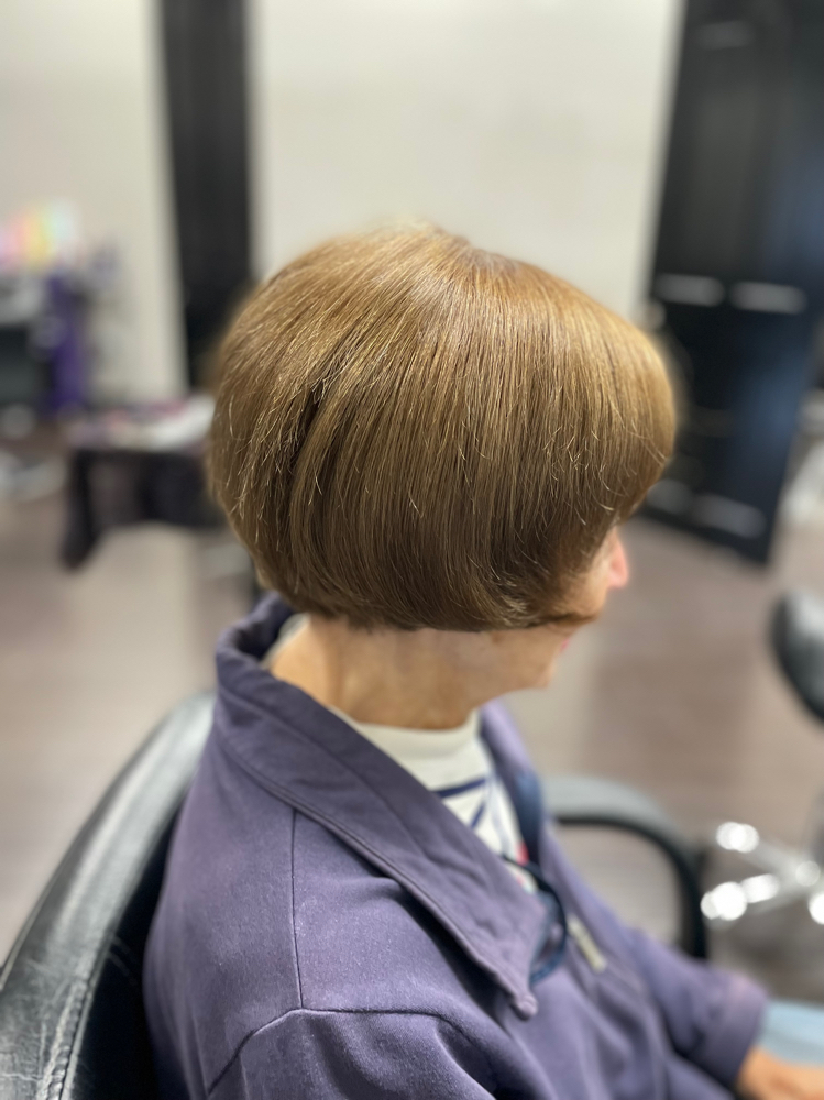 Color Cut Blow Dry Only