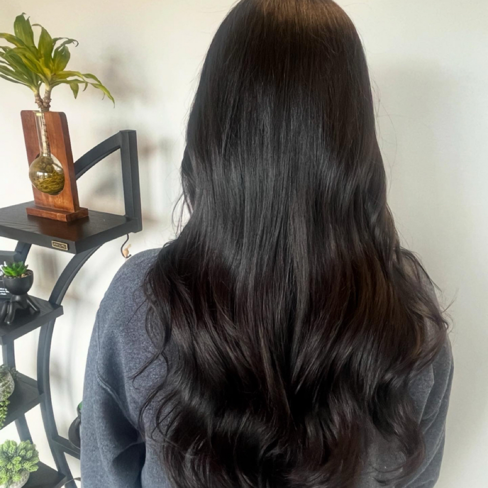 Single Process Color at Adina πͺβ¨ in Wichita, KS