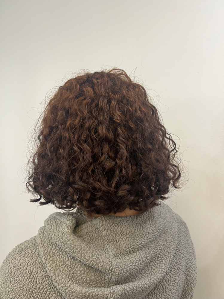 Women's Haircut's