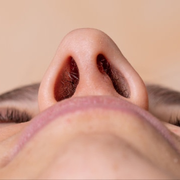 Nose at LuxBareBits in Wantagh, NY