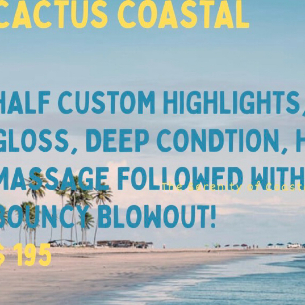 Cactus Coastal at Studio Saguaro in Bellingham, WA