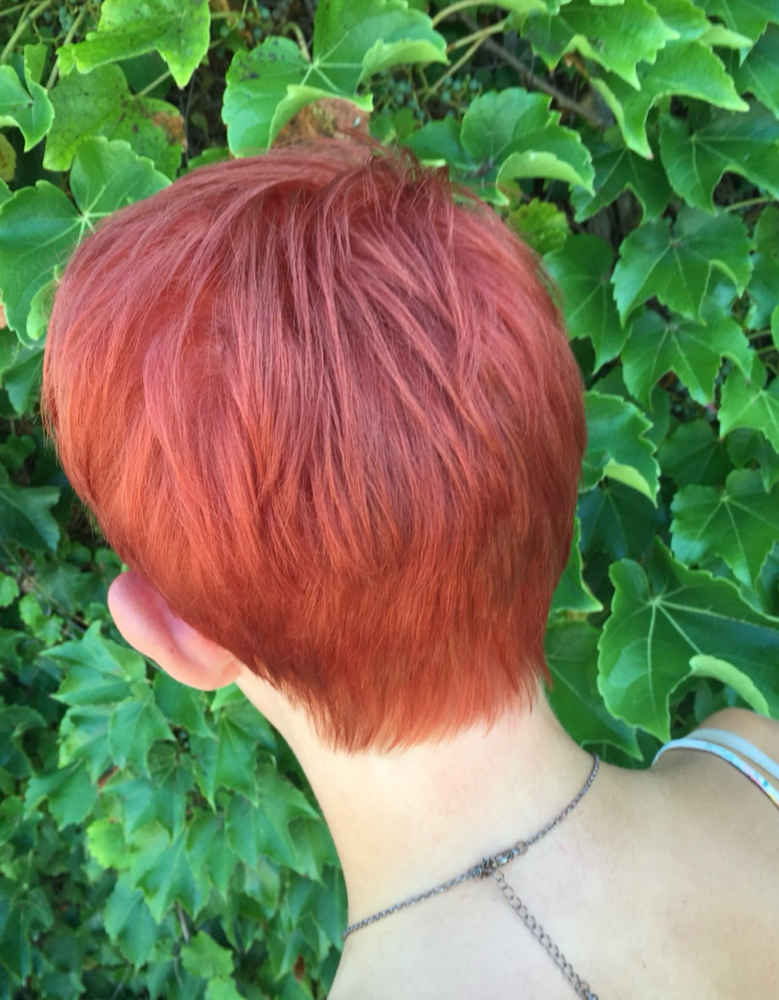 All Over Color & Haircut at Sarah Lehrke at Salon Trende in Waconia, MN