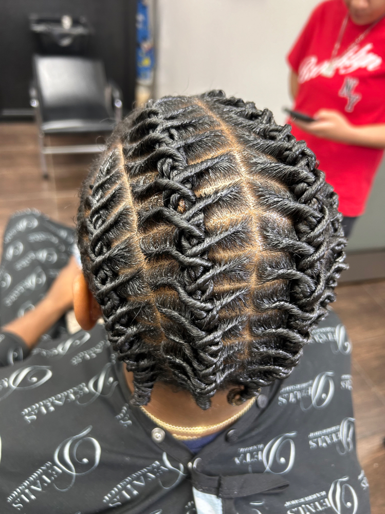 Barrel Twist Styles (not Locs)