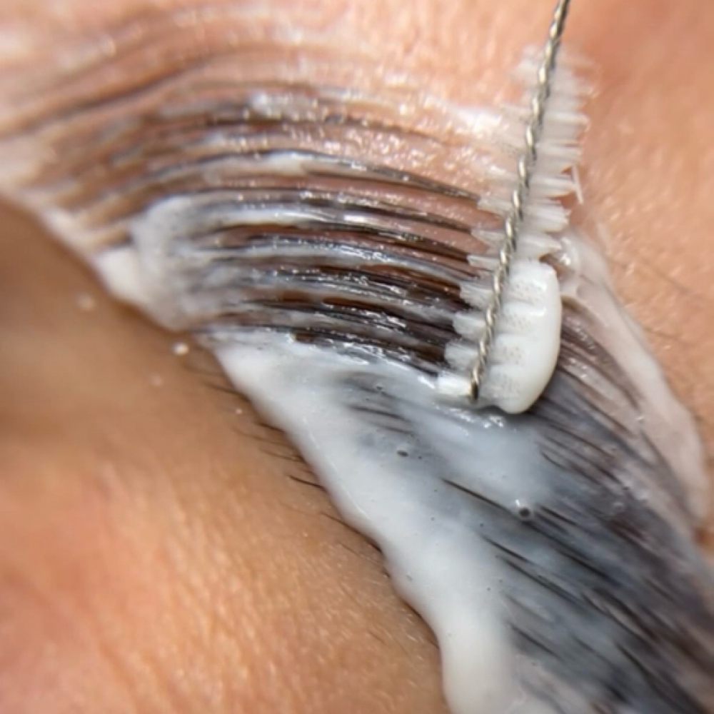 Brow Lamination + Wax + Tint at Beauty with Lyss in Massapequa, NY