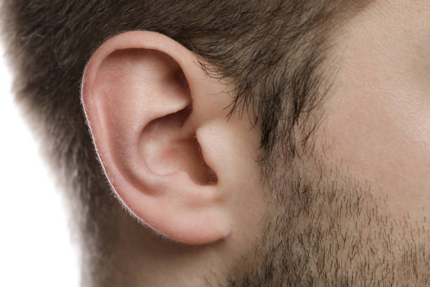 Ear Hair Wax