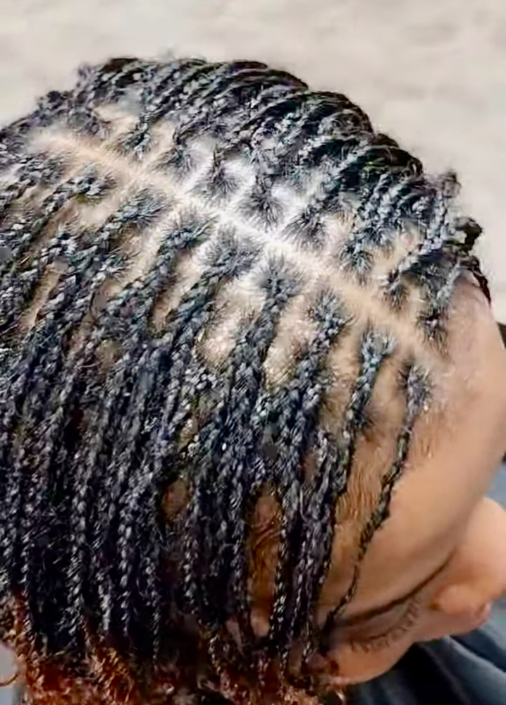 Microlocs Braid Install