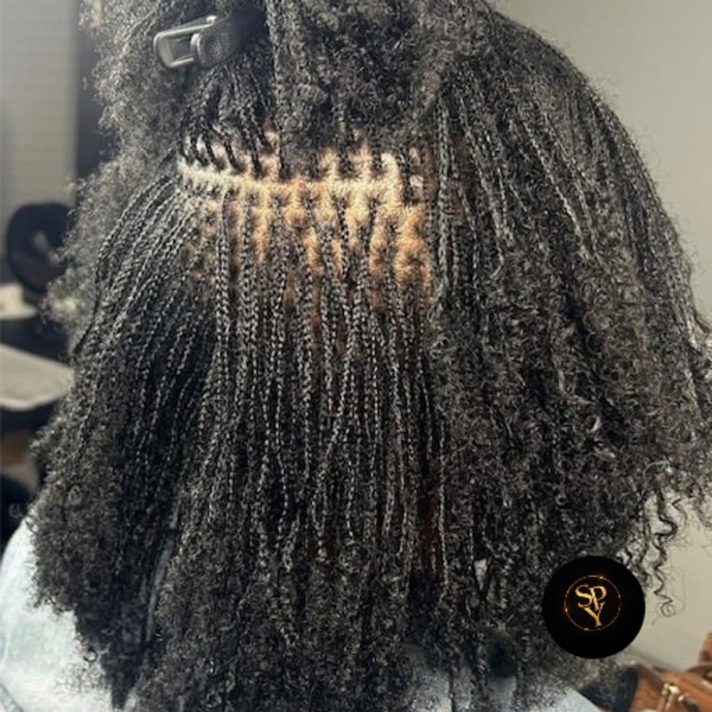 Natural Microloc Braid Install