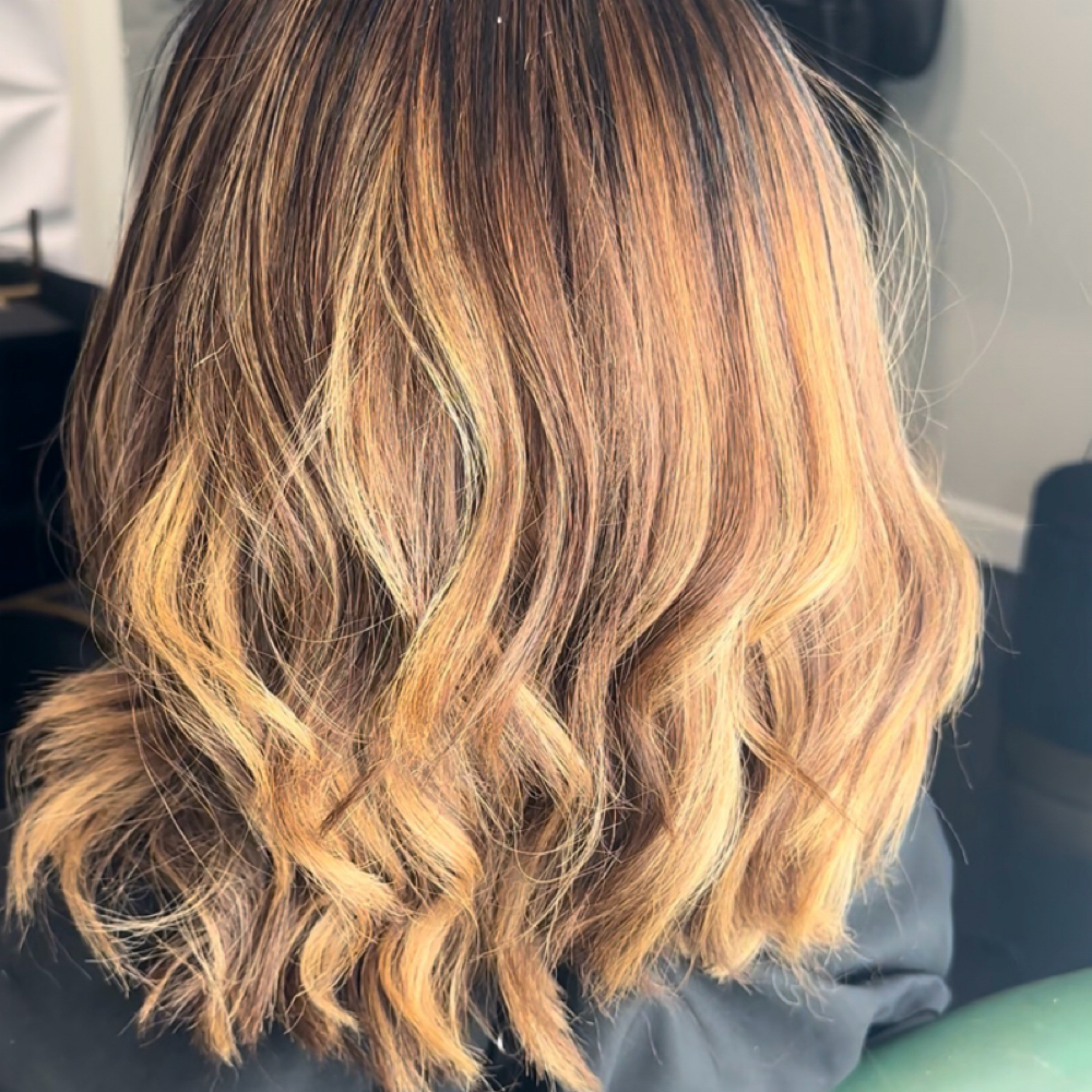 Signature Permanent Color Service at Fused Hair & Extensions in Missouri city, TX