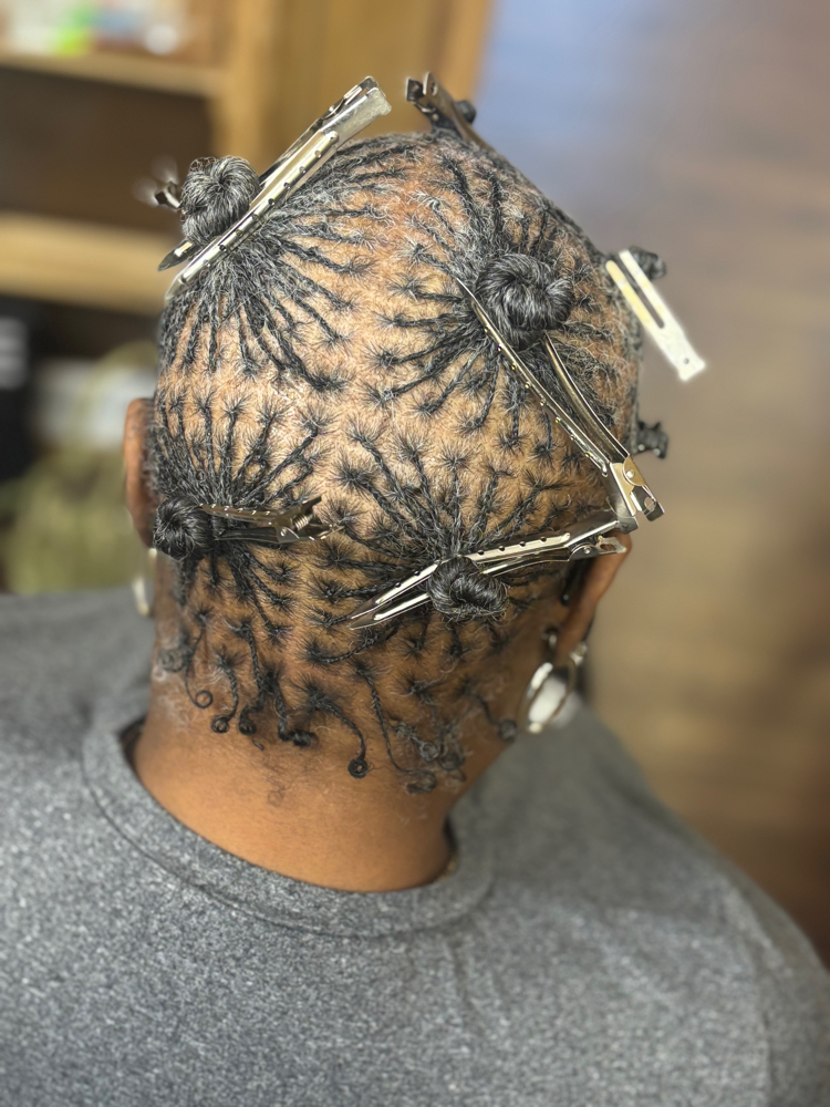 Microloc Braids/Twist – Adults at CrochetQueenlicia in Augusta, GA