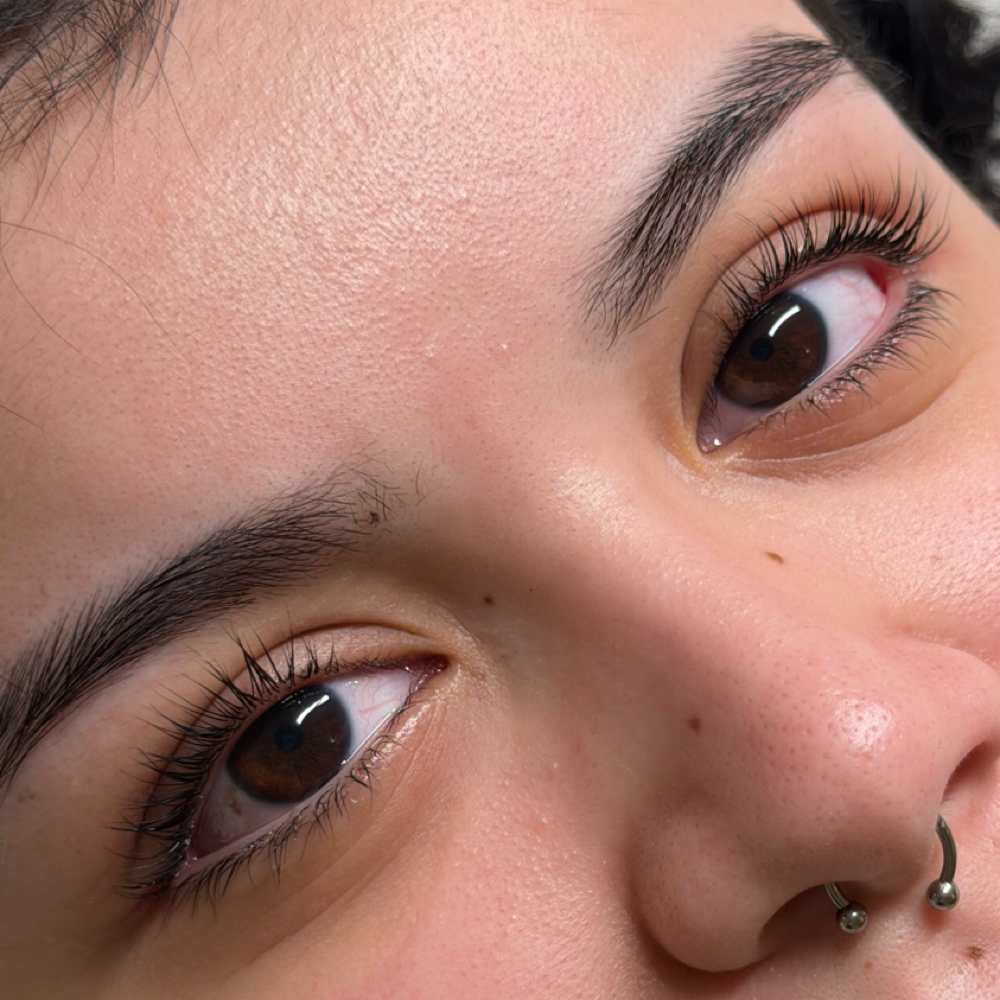 lash lift /tint at Nina Beauty&Brows Studio in North Hollywood, CA