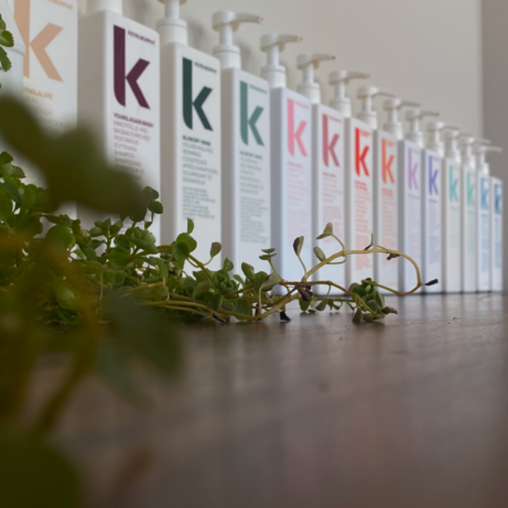 Wet / Dry Haircut at Le posh salon in Merrimac, MA