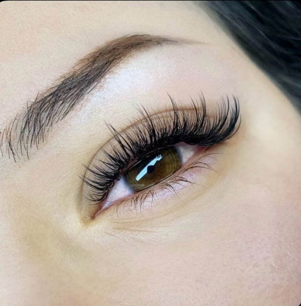 WISPY LASH MODEL