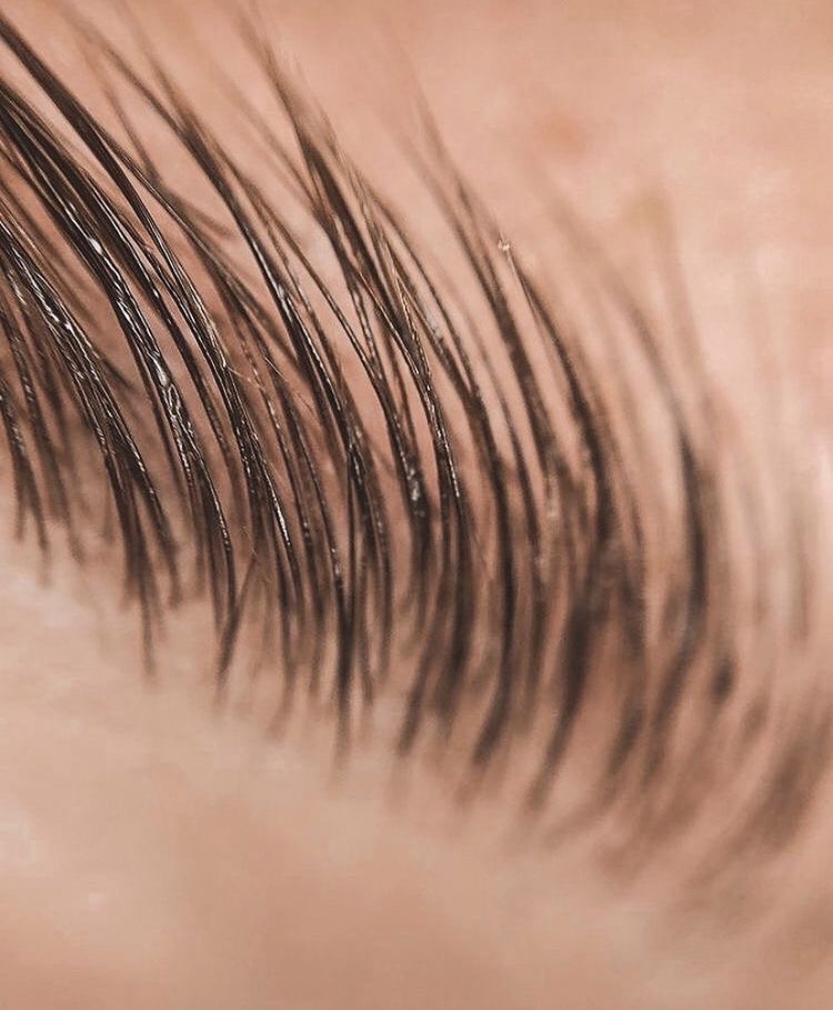 Brow Lamination + Tweeze + Tint