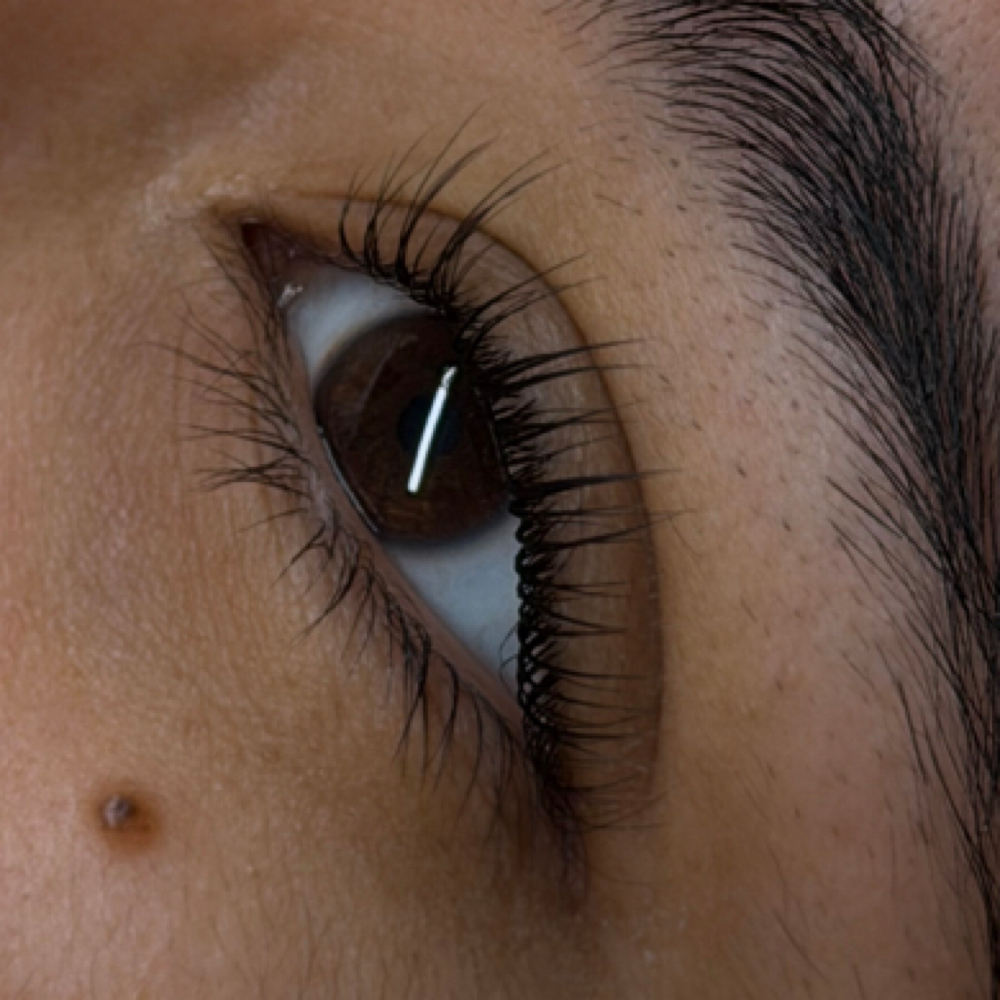 Korean Lash Lift at skinXbeauty By Syd in Fort Payne, AL