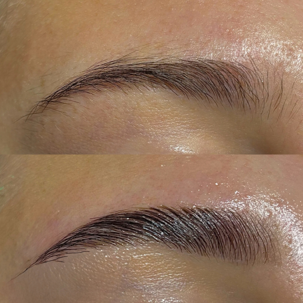 Brow Lamination & Tint W/ Wax at Bare Beauty by Alayna in Bunker Hill, IL