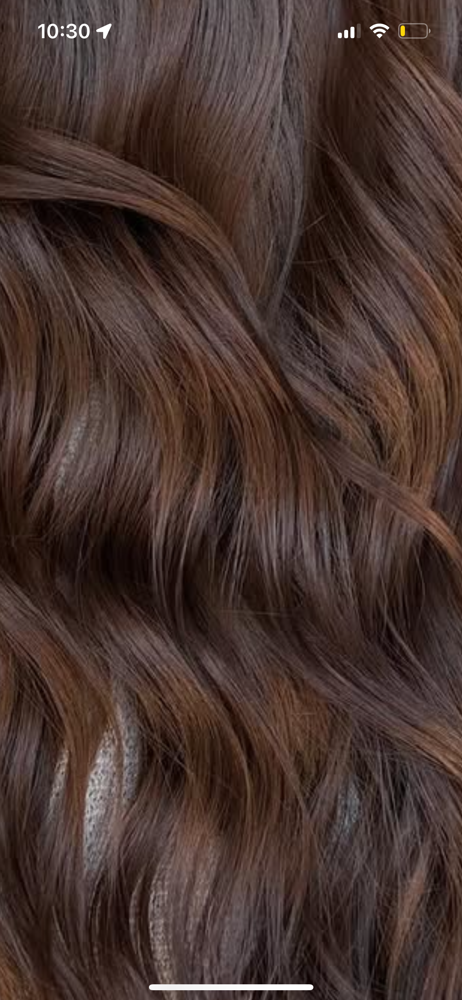 THE EXPRESS ROOT TOUCH UP