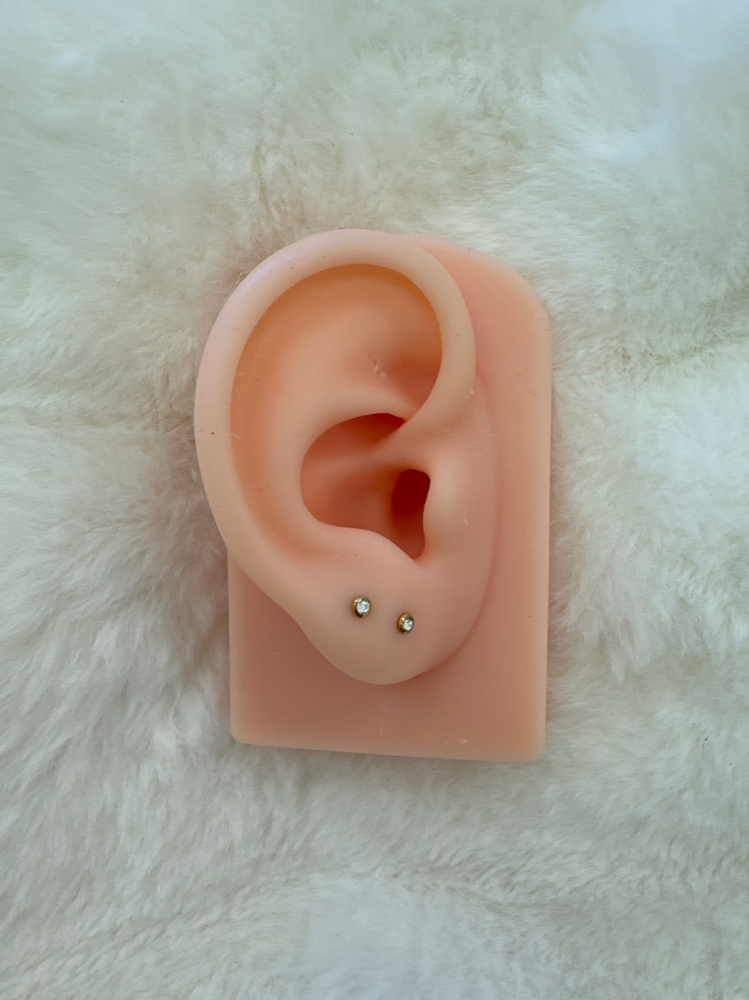 Lobes(2 Piercings)