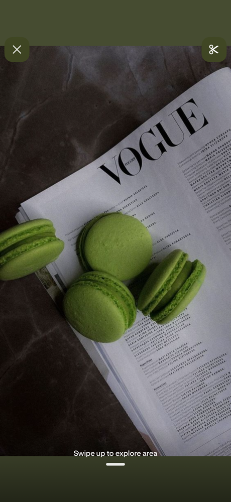 Full Foil at Tessa Little - Harlow in Johnson City, TN