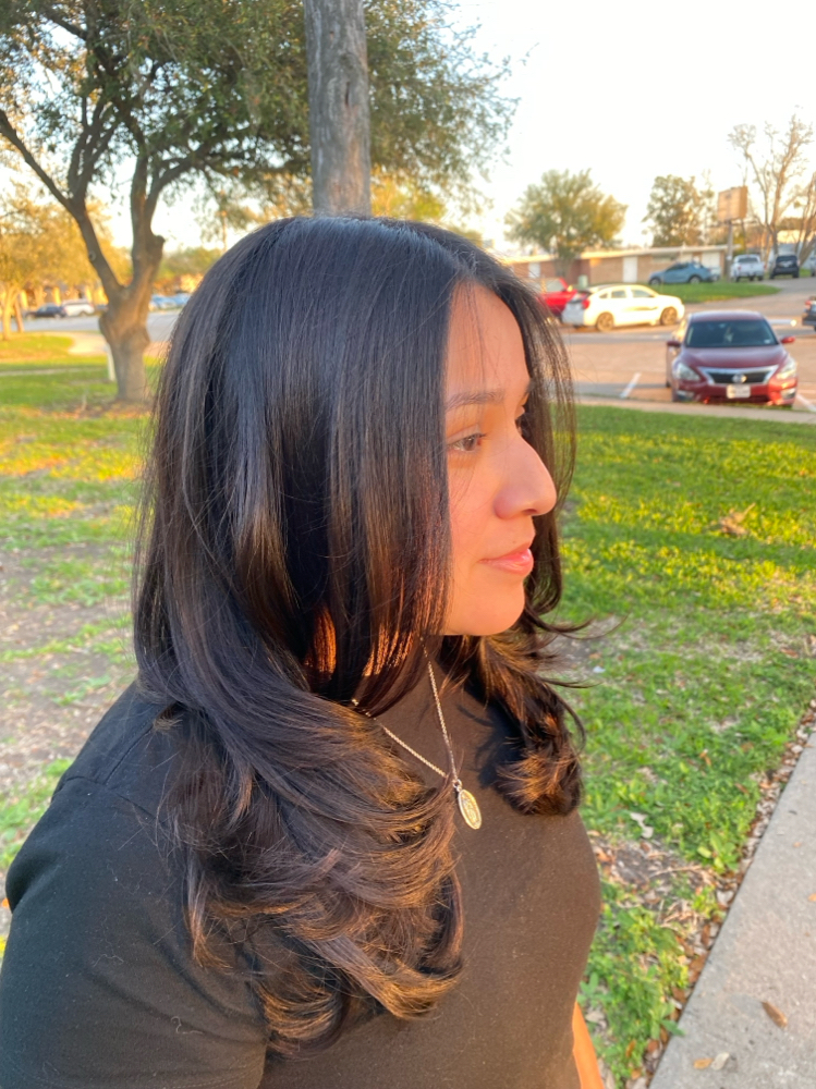 Medium Haircut & Blowdry Style