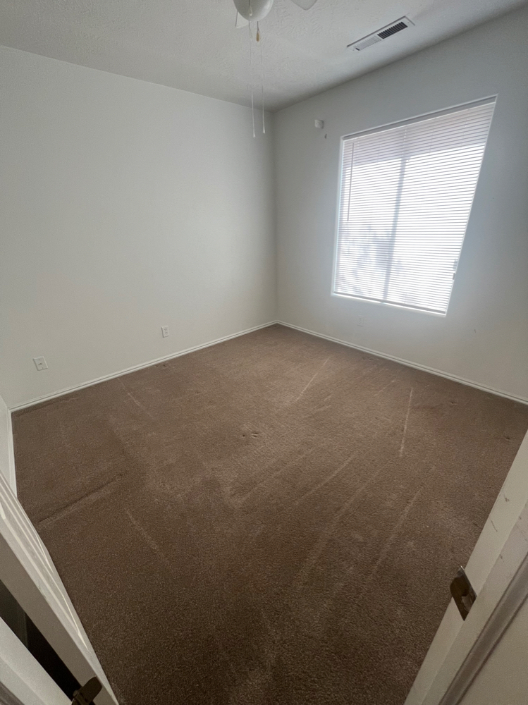 Move In/Move Out Clean