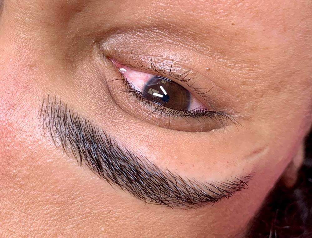 Touch up Micropigmentation 30 days